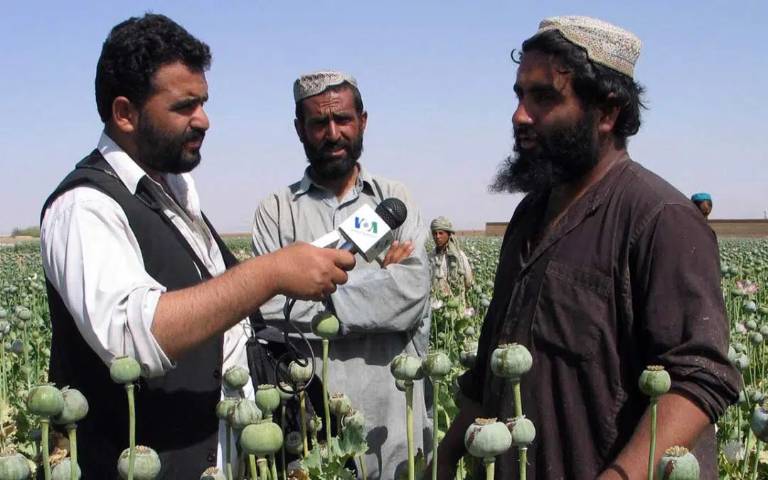 A Reexamination of the Role of the Taliban in the Afghan Opium Trade