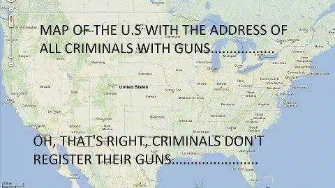 illegal-gun-owners