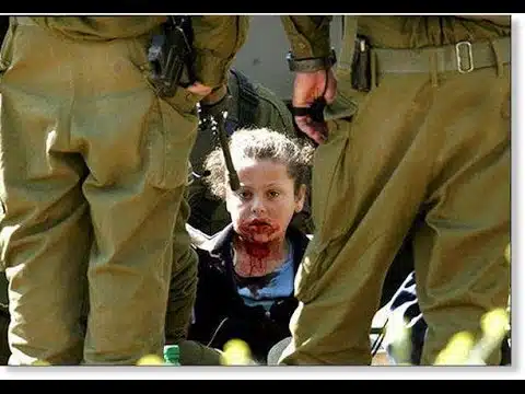 israels systematic abuse of pale