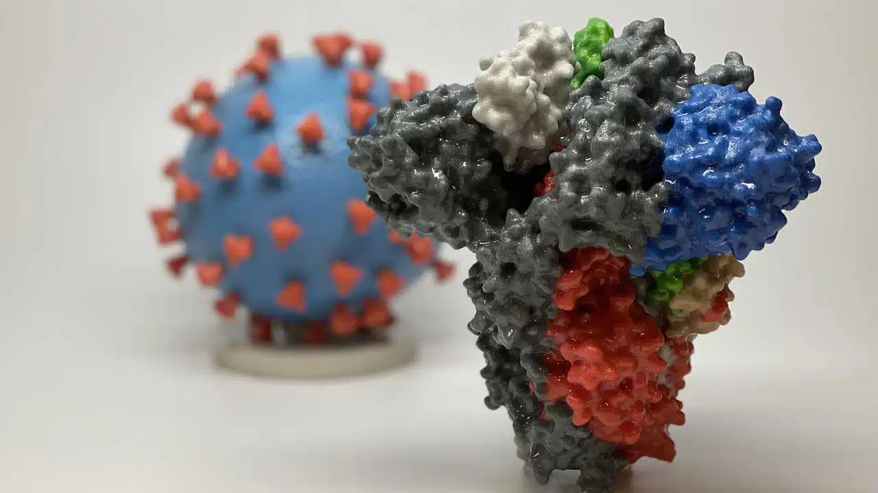 3D print of a SARS-CoV-2 spike protein (NIH/Public Domain)