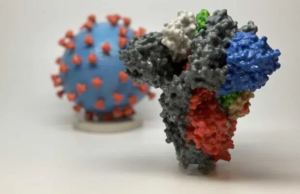 A 3D print of a SARS-CoV-2 spike protein in front of a SARS-CoV-2 virion. (Photo: NIH/Public Domain)